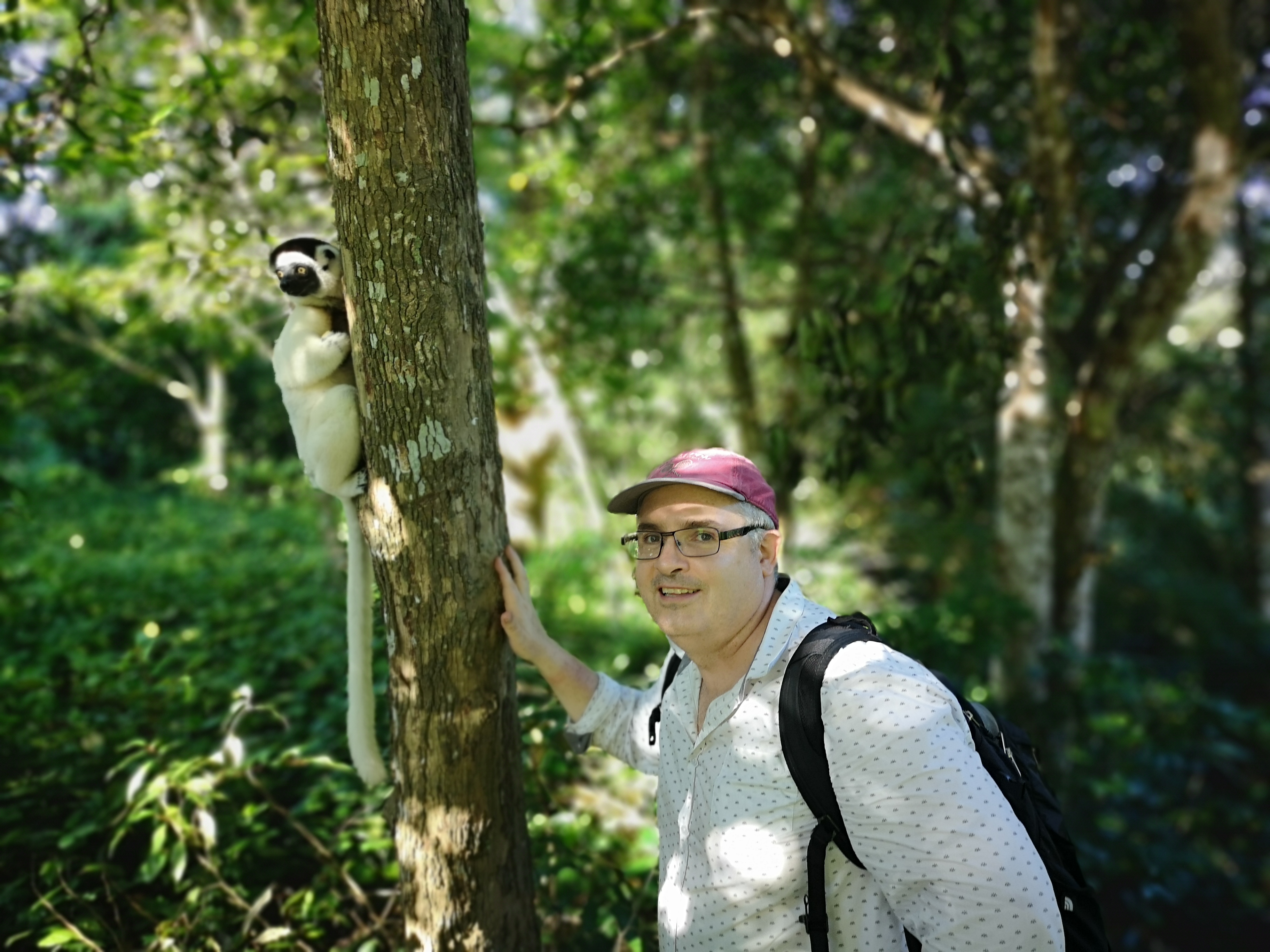 Stunning land and waterscapes and the obligatory lemur shot – J. Skinner and R. Rossizelà, April 2019