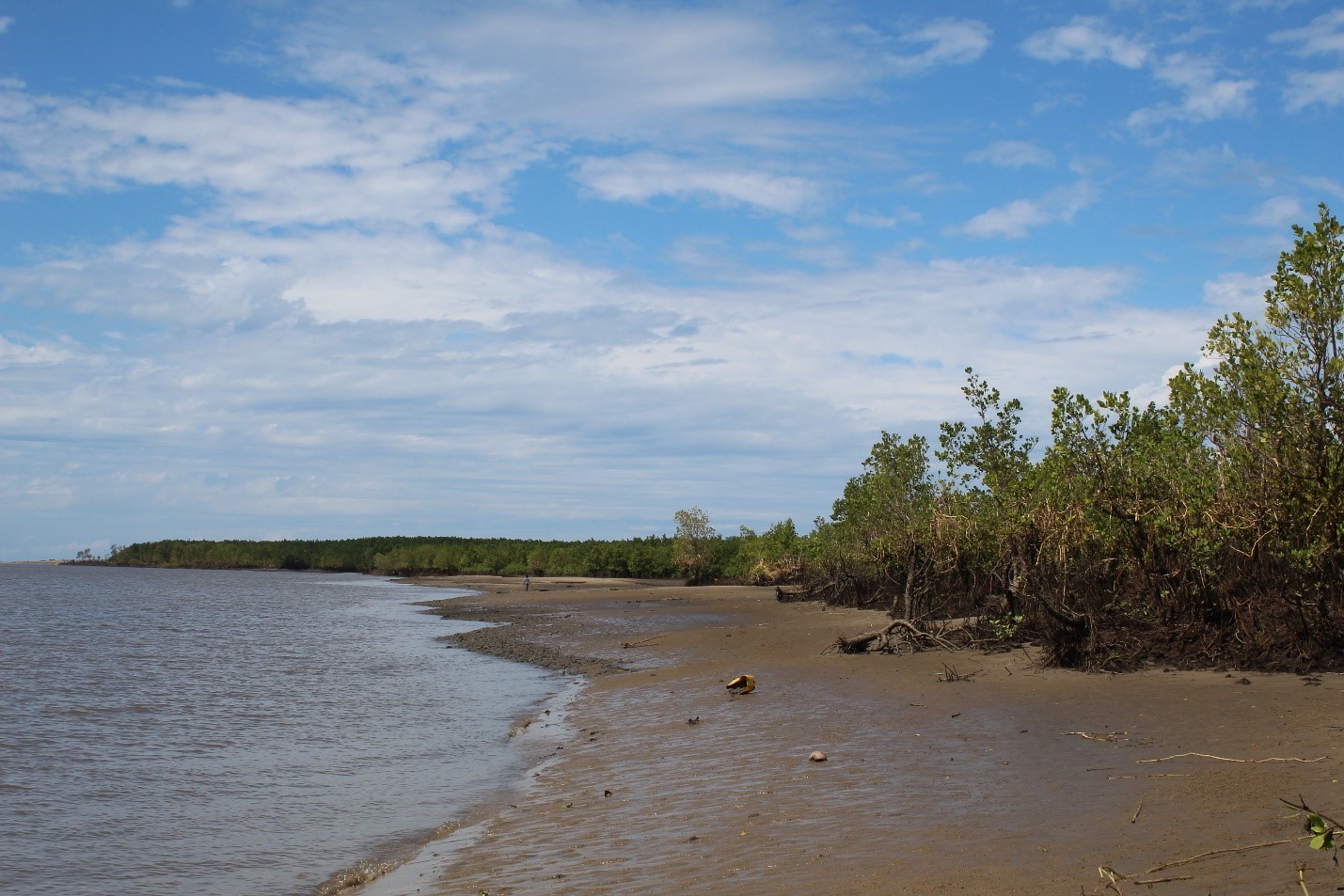 Rising from the Depths » Heritage at risk in Chinde, Mozambique