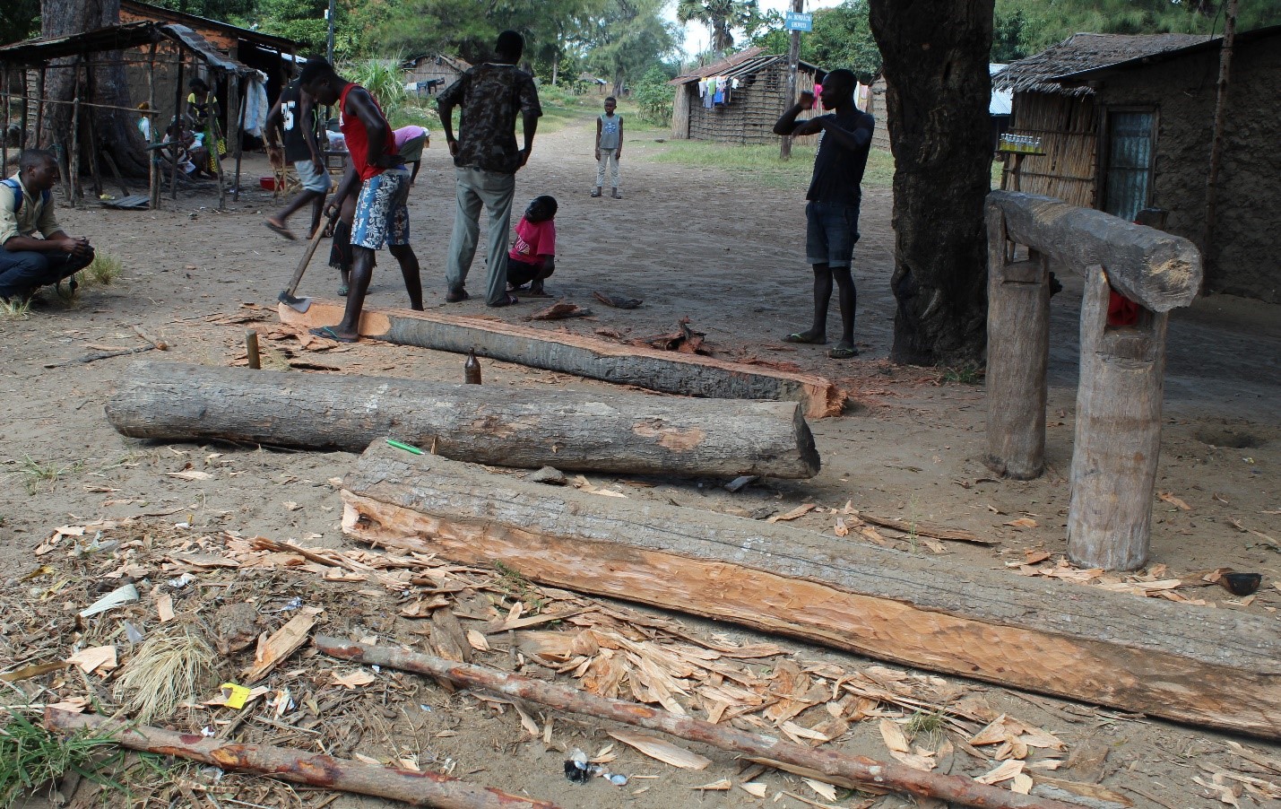 Rising from the Depths » Heritage at risk in Chinde, Mozambique