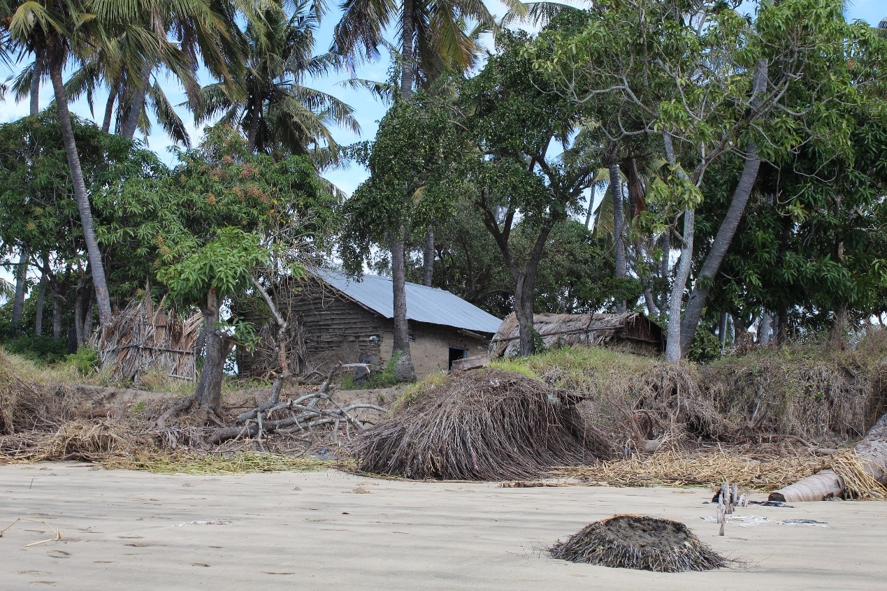 Rising from the Depths » Heritage at risk in Chinde, Mozambique