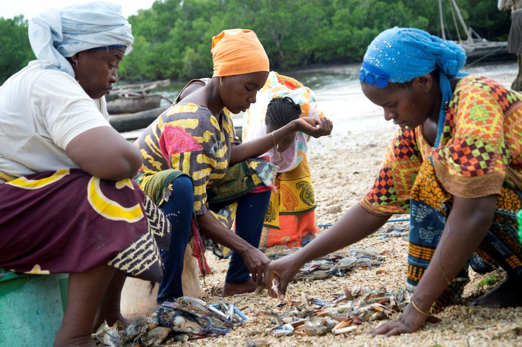 Zawadi and her colleagues go through the scraps left in the nets for smaller, young fish which are fried immediately and sold my the roadside as cheap snacks. Michokuni, November 2019. Copyright Jenny Matthews